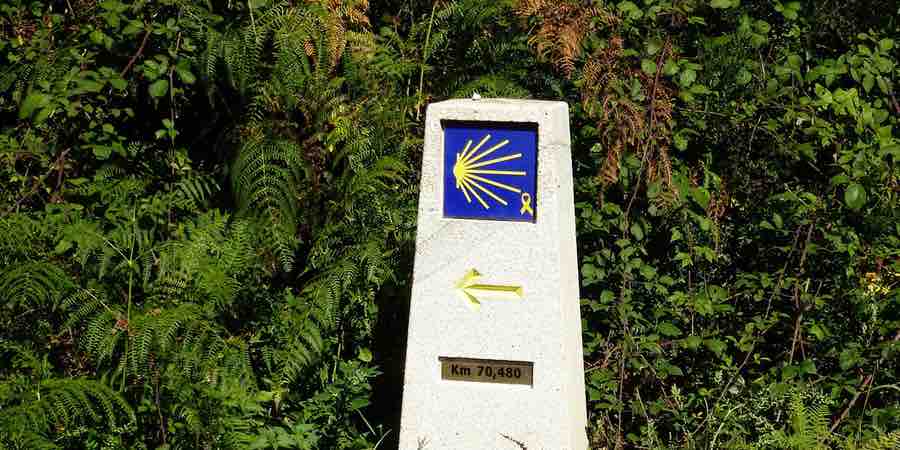 North Face Borealis Classic, la mochila perfecta para hacer el Camino de Santiago en el 2019